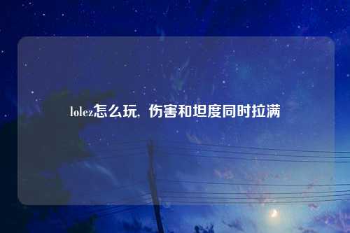 lolez怎么玩,  伤害和坦度同时拉满