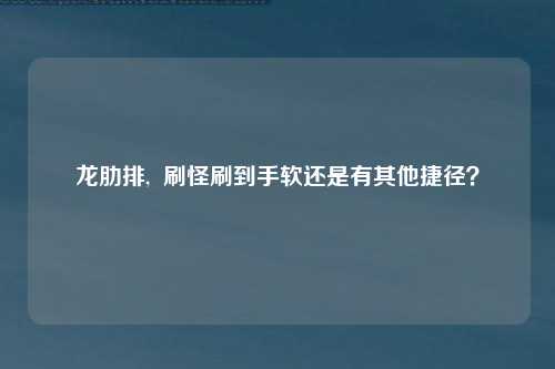 龙肋排,  刷怪刷到手软还是有其他捷径？