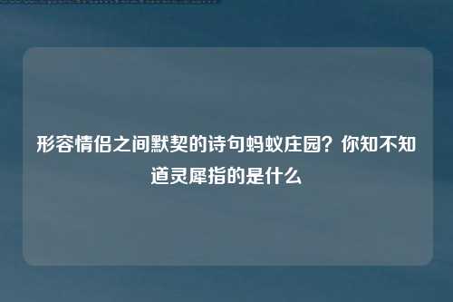 形容情侣之间默契的诗句蚂蚁庄园？你知不知道灵犀指的是什么