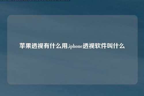 苹果透视有什么用,iphone透视软件叫什么