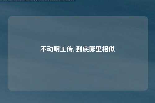 不动明王传, 到底哪里相似