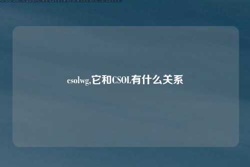 csolwg,它和CSOL有什么关系