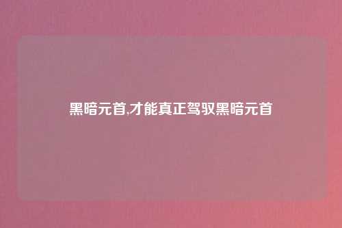 黑暗元首,才能真正驾驭黑暗元首