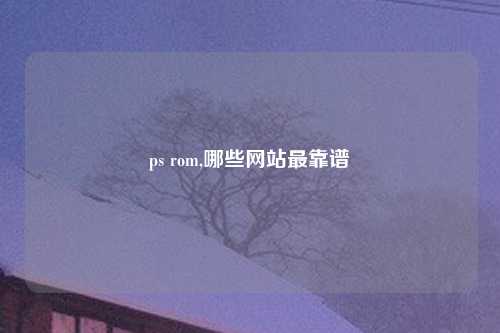 ps rom,哪些网站最靠谱