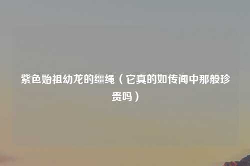 紫色始祖幼龙的缰绳（它真的如传闻中那般珍贵吗）