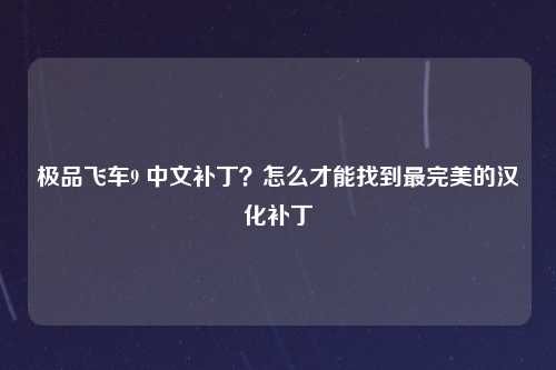 极品飞车9 中文补丁？怎么才能找到最完美的汉化补丁