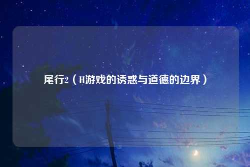 尾行2（H游戏的诱惑与道德的边界）