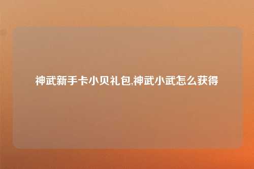 神武新手卡小贝礼包,神武小武怎么获得