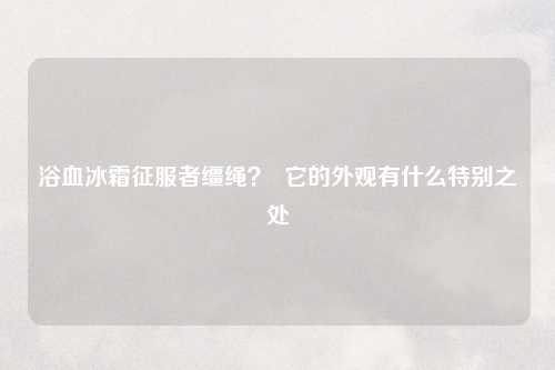 浴血冰霜征服者缰绳？  它的外观有什么特别之处
