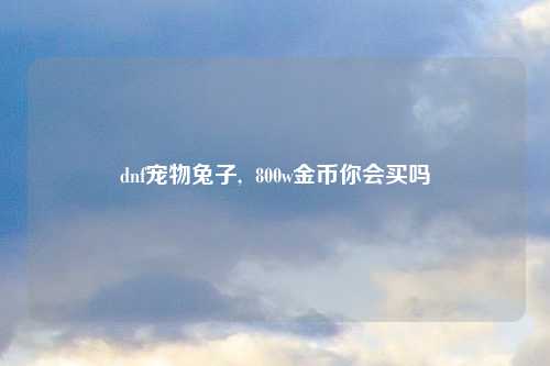 dnf宠物兔子,  800w金币你会买吗