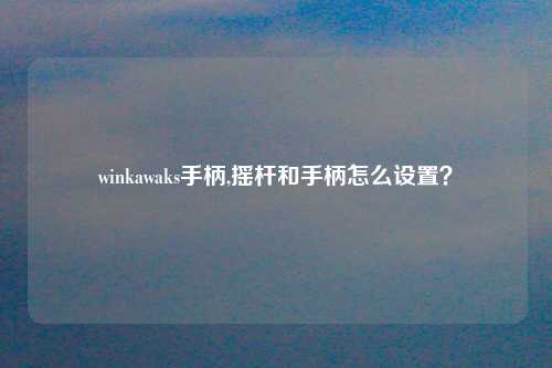 winkawaks手柄,摇杆和手柄怎么设置？