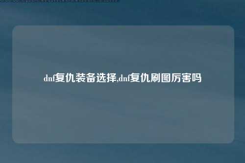dnf复仇装备选择,dnf复仇刷图厉害吗