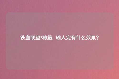 铁血联盟2秘籍,  输入完有什么效果？