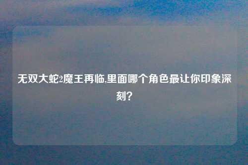 无双大蛇2魔王再临,里面哪个角色最让你印象深刻？