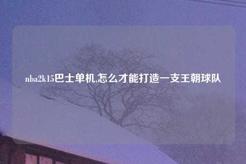 nba2k15巴士单机,怎么才能打造一支王朝球队