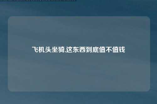 飞机头坐骑,这东西到底值不值钱