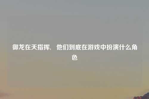 御龙在天指挥,   他们到底在游戏中扮演什么角色
