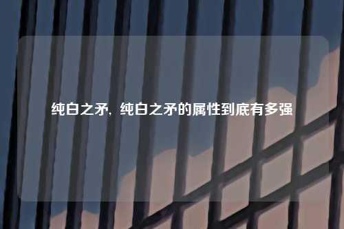 纯白之矛,  纯白之矛的属性到底有多强