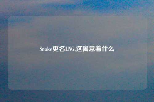 Snake更名LNG,这寓意着什么