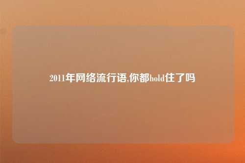 2011年网络流行语,你都hold住了吗