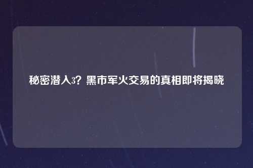 秘密潜入3？黑市军火交易的真相即将揭晓
