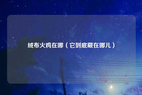 绒布火鸡在哪（它到底藏在哪儿）