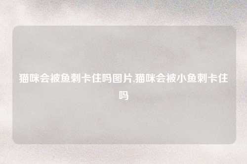 猫咪会被鱼刺卡住吗图片,猫咪会被小鱼刺卡住吗