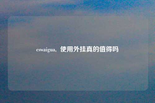 cswaigua,  使用外挂真的值得吗