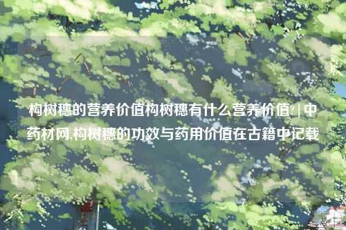 构树穗的营养价值构树穗有什么营养价值?|中药材网,构树穗的功效与药用价值在古籍中记载
