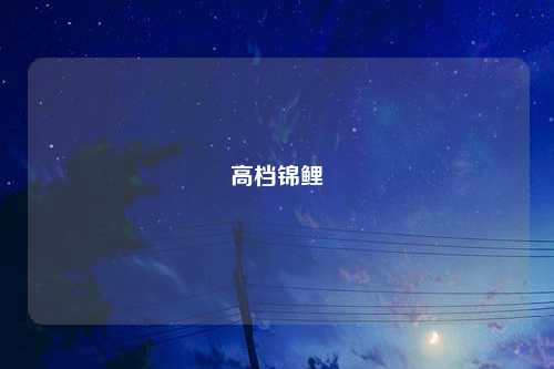高档锦鲤