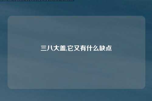 三八大盖,它又有什么缺点