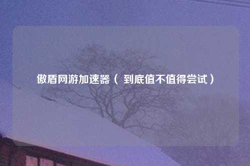 傲盾网游加速器（ 到底值不值得尝试）