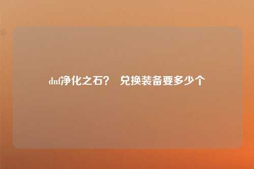 dnf净化之石？  兑换装备要多少个