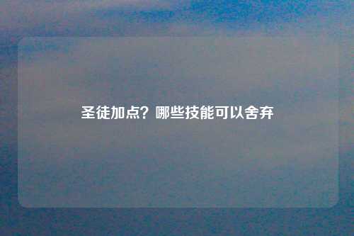 圣徒加点？哪些技能可以舍弃