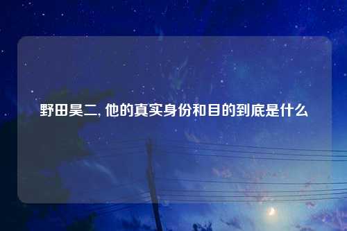 野田昊二, 他的真实身份和目的到底是什么