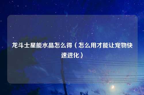 龙斗士星能水晶怎么得（怎么用才能让宠物快速进化）