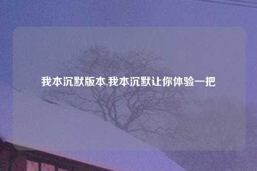 我本沉默版本,我本沉默让你体验一把