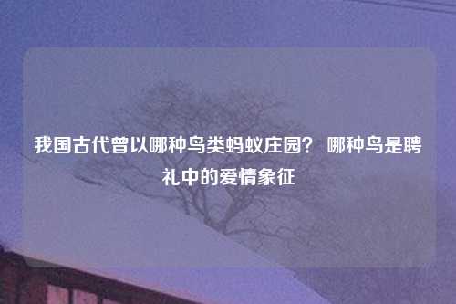 我国古代曾以哪种鸟类蚂蚁庄园？ 哪种鸟是聘礼中的爱情象征