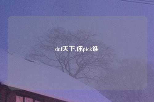 dnf天下,你pick谁
