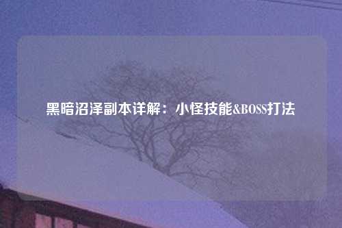 黑暗沼泽副本详解：小怪技能&BOSS打法