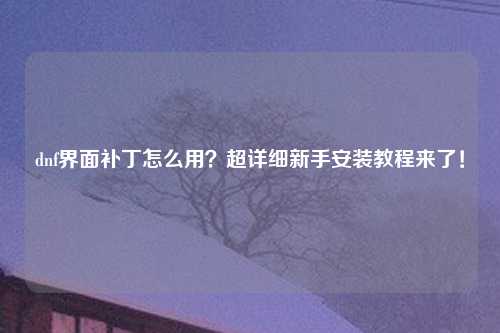 dnf界面补丁怎么用？超详细新手安装教程来了！