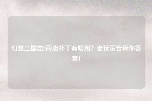幻想三国志2商店补丁有啥用？老玩家告诉你答案！