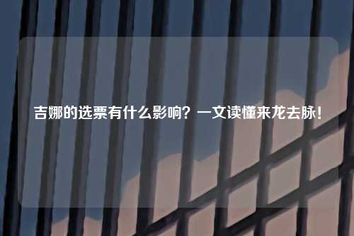 吉娜的选票有什么影响？一文读懂来龙去脉！
