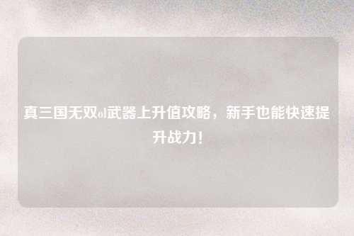 真三国无双ol武器上升值攻略，新手也能快速提升战力！