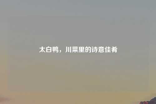 太白鸭，川菜里的诗意佳肴