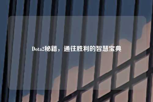 Dota2秘籍，通往胜利的智慧宝典