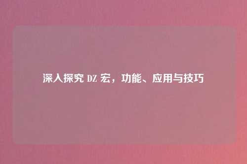深入探究 DZ 宏，功能、应用与技巧