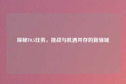探秘T0.5任务，挑战与机遇并存的新领域