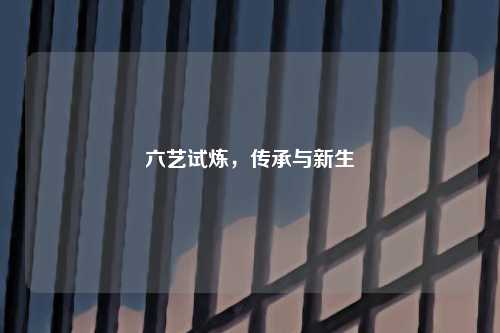 六艺试炼，传承与新生