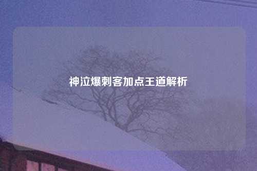 神泣爆刺客加点王道解析